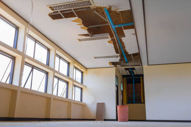 Best Water damage restoration near me  in Tremont, IL