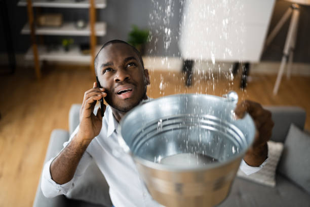 Best Commercial water damage restoration  in Tremont, IL