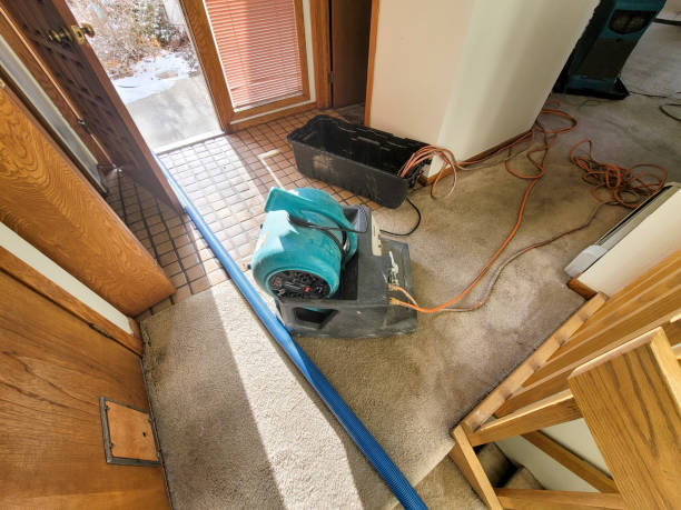 Best Ceiling water damage repair  in Tremont, IL