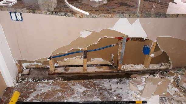 Best Water damage cleanup near me  in Tremont, IL