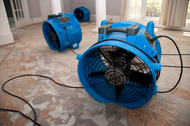 Best Water damage restoration near me  in Tremont, IL