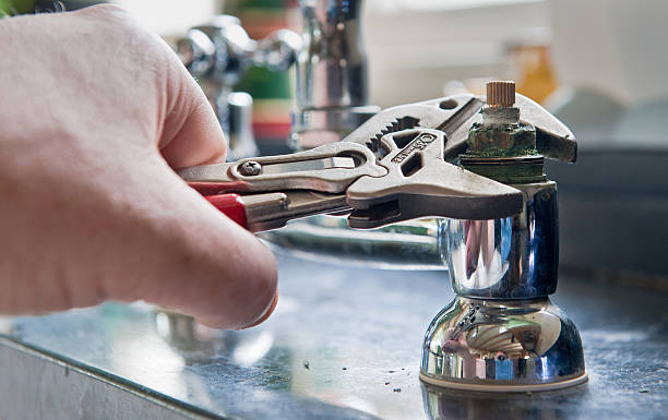 Best Carpet water damage restoration  in Tremont, IL
