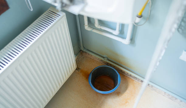 Best Basement water damage restoration  in Tremont, IL