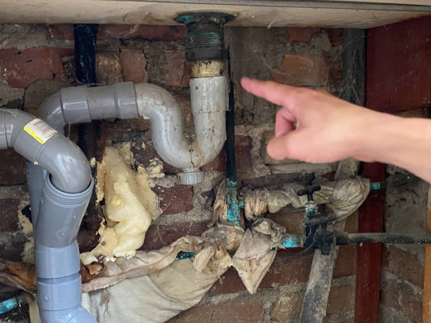 Best Sewage cleanup and water damage restoration  in Tremont, IL