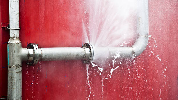 Best Mold removal after water damage  in Tremont, IL